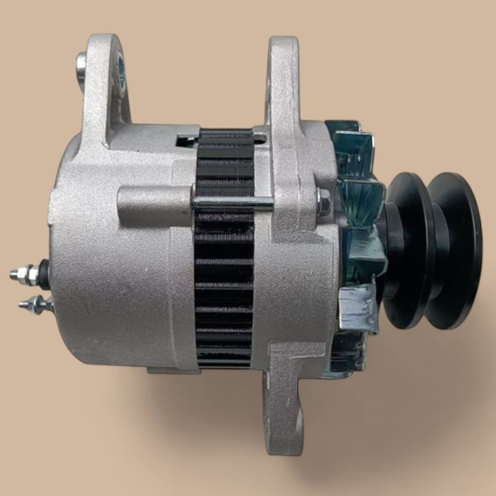 Komatsu 24V 30A Alternator 600-821-6130 0-33000-5840 Compatible for Komatsu S4D95L-1 6D105-1 6D95L-1 Engine PC200-1 PC200-2 GD511A-1