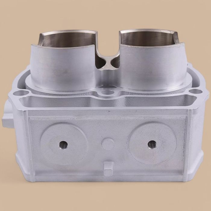 Polaris Engine Cylinder 2204393 2203911 Compatible for Polaris RZR Ranger Sportsman