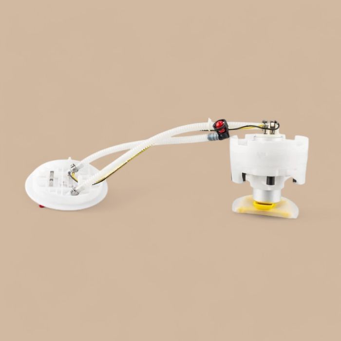 Audi 12V Fuel Pump Module Assembly E8384M Compatible for Audi A6 Quattro S6 Volkswagen Passat 2.8L 2.7L 3.0L 1998-2005