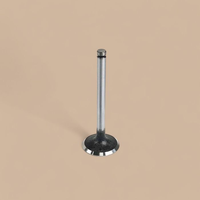 Caterpillar Intake Valve 6I-0282 Compatible for Caterpillar CAT Engine 3054 3056 Loader 416B 426B 428C 436B 438C