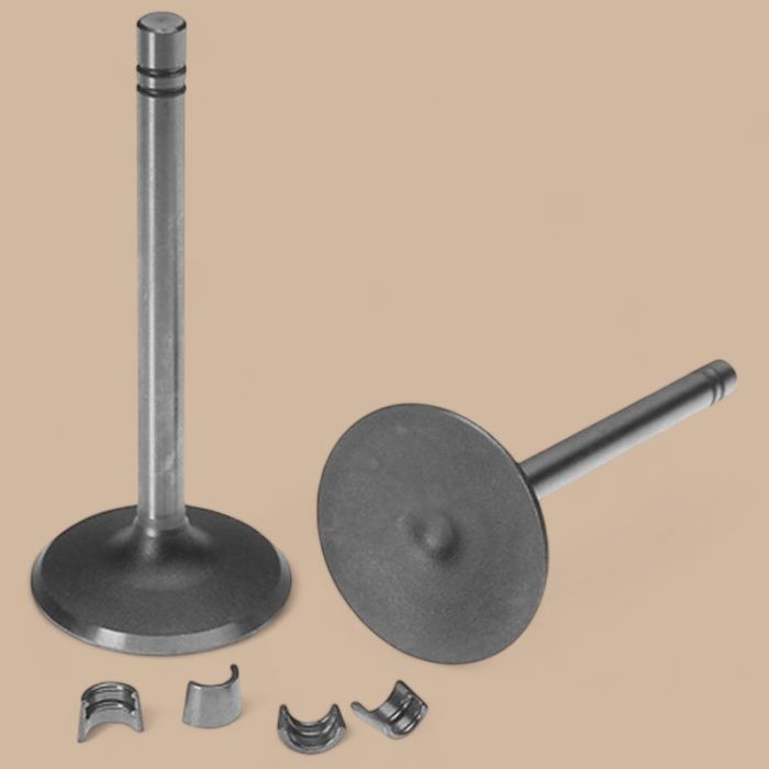 Caterpillar Set of 2 Valve Intake 1007860 Compatible for Caterpillar CAT Engine 3304 3306 Excavator 235B 330 350 W330B in USA