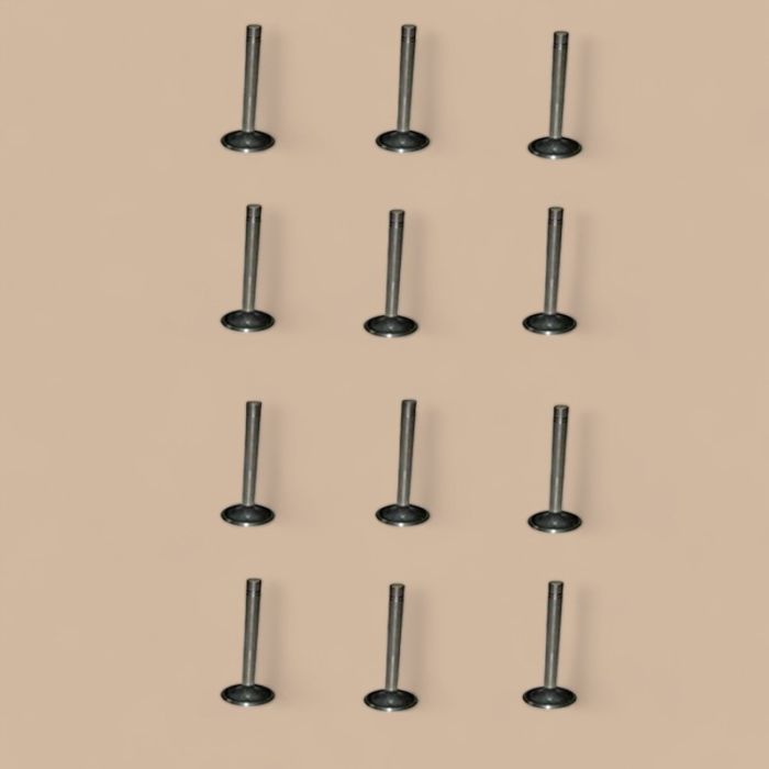 Caterpillar Set of 12 Valve Intake Compatible for Caterpillar CAT Engine G3606 G3606B G3608 G3612 G3616 Excavator 375 375 L in USA